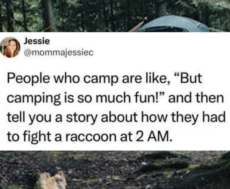 Jessie @mommajessiec People who camp are like, "But camping is so much fun!" and then tell you a story about how they had to fight a raccoon at 2 AM.