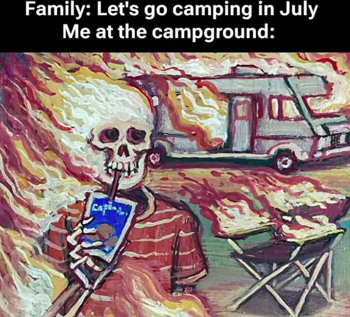 Family: Let's go camping in July Me at the campground: CAT