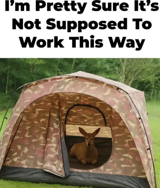 I'm Pretty Sure It's Not Supposed To Work This Way
