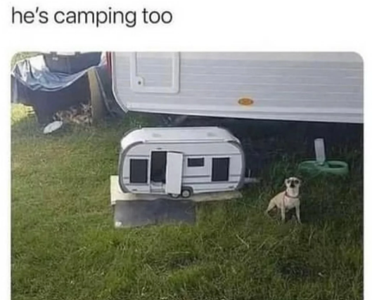 he's camping too