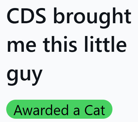 CDS brought me this little guy Awarded a Cat