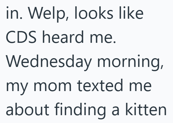 in. Welp, looks like CDS heard me. Wednesday morning, my mom texted me about finding a kitten
