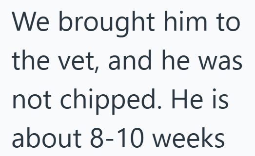 We brought him to the vet, and he was not chipped. He is about 8-10 weeks