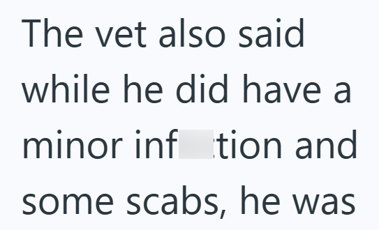 The vet also said while he did have a minor inftion and some scabs, he was
