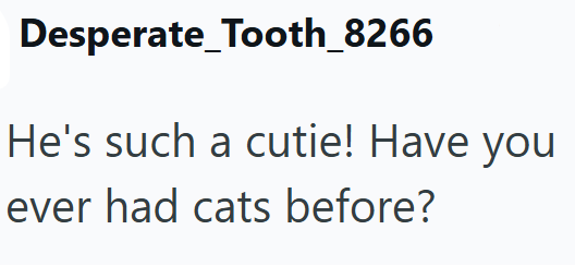Desperate_Tooth_8266 He's such a cutie! Have you ever had cats before?