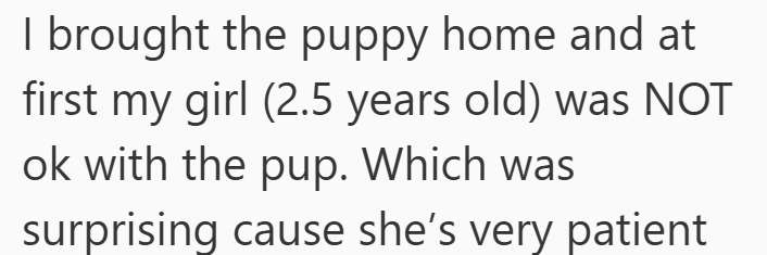 I brought the puppy home and at first my girl (2.5 years old) was NOT ok with the pup. Which was surprising cause she's very patient