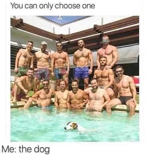 You can only choose one Me: the dog