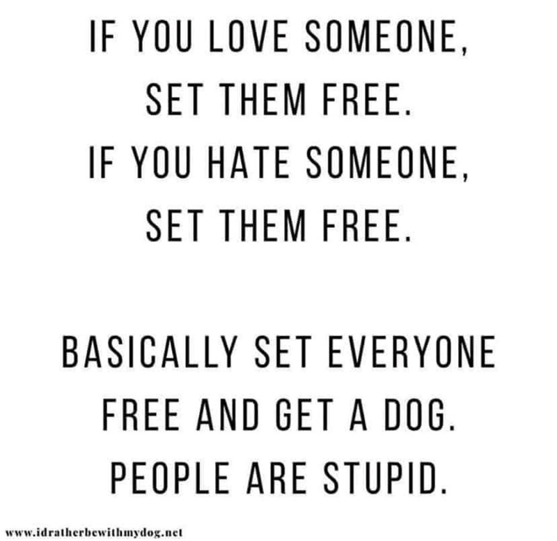 IF YOU LOVE SOMEONE, SET THEM FREE. IF YOU HATE SOMEONE, SET THEM FREE. BASICALLY SET EVERYONE FREE AND GET A DOG. PEOPLE ARE STUPID. www.idratherbewithmydog.net