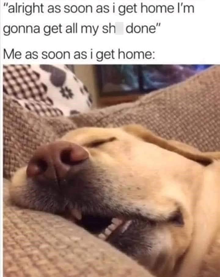 "alright as soon as i get home I'm gonna get all my sh_done" Me as soon as i get home: