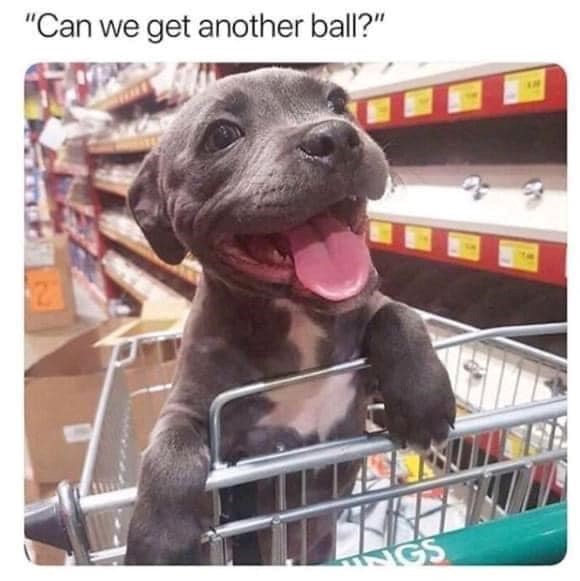 "Can we get another ball?" 2 GS
