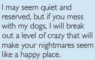 I may seem quiet and reserved, but if you mess with my dogs, I will break out a level of crazy that will make your nightmares seem like a happy place.