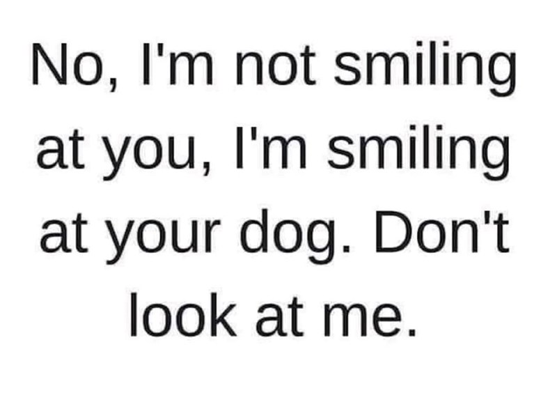 No, I'm not smiling at you, I'm smiling at your dog. Don't look at me.