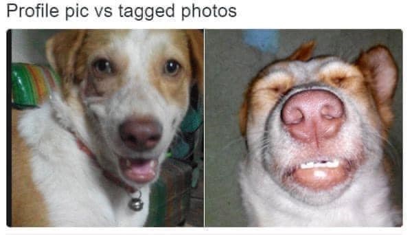 Profile pic vs tagged photos