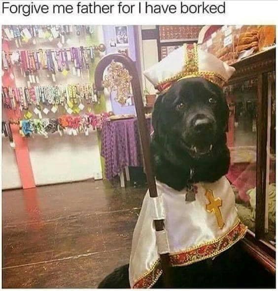 Forgive me father for I have borked