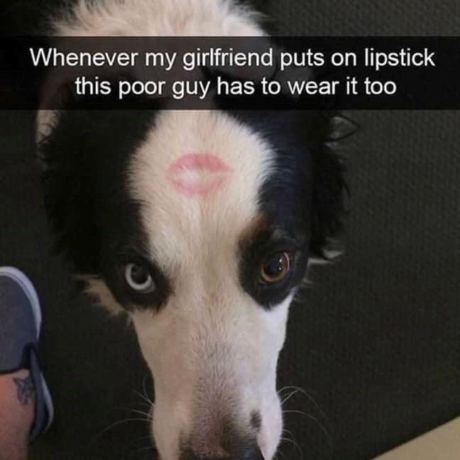 C Whenever my girlfriend puts on lipstick this poor guy has to wear it too