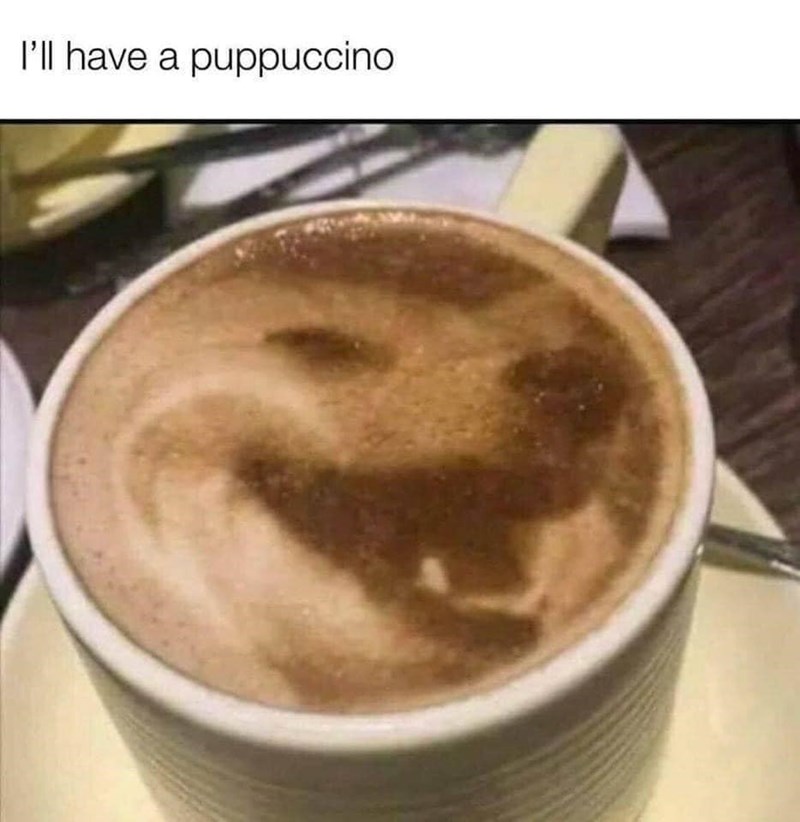 I'll have a puppuccino