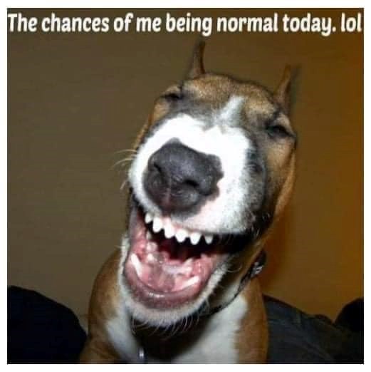 The chances of me being normal today. lol