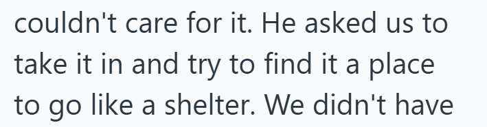 couldn't care for it. He asked us to take it in and try to find it a place to go like a shelter. We didn't have