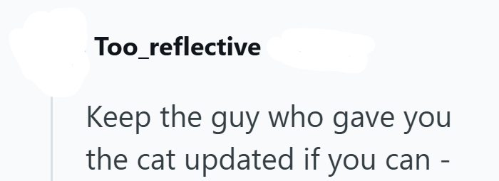 Too_reflective Keep the guy who gave you the cat updated if you can -