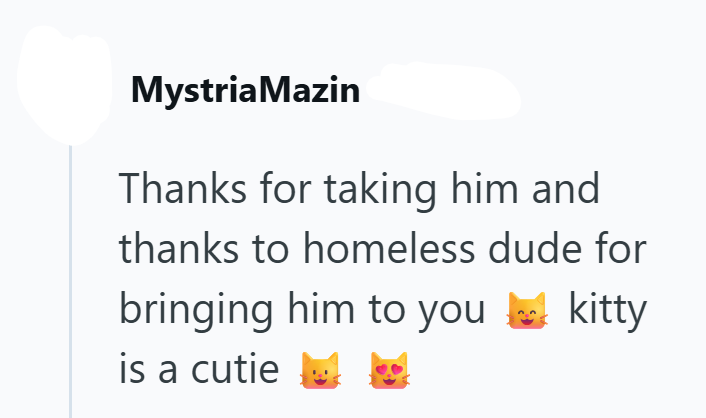 Mystria Mazin Thanks for taking him and thanks to homeless dude for bringing him to you kitty is a cutie