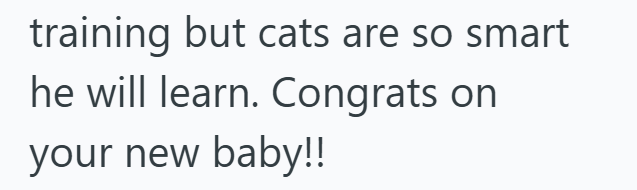 training but cats are so smart he will learn. Congrats on your new baby!!