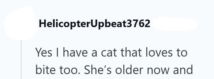 HelicopterUpbeat3762 Yes I have a cat that loves to bite too. She's older now and