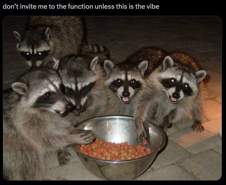 don't invite me to the function unless this is the vibe