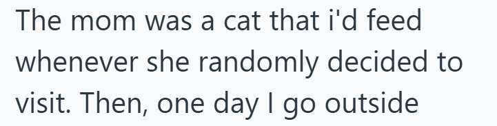 The mom was a cat that i'd feed whenever she randomly decided to visit. Then, one day I go outside