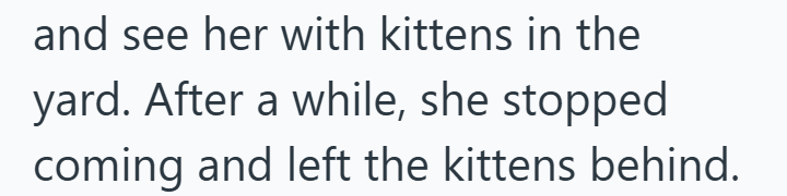 and see her with kittens in the yard. After a while, she stopped coming and left the kittens behind.
