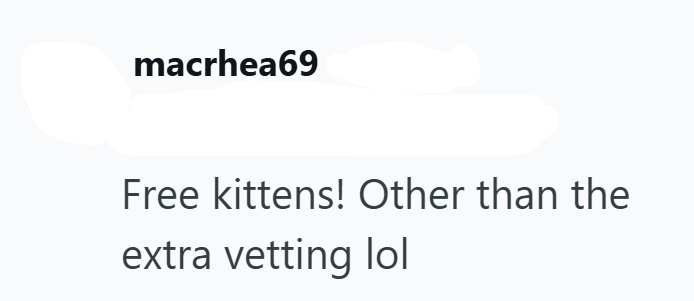 macrhea69 Free kittens! Other than the extra vetting lol