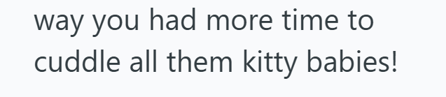 way you had more time to cuddle all them kitty babies!