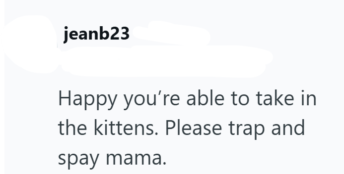 jeanb23 Happy you're able to take in the kittens. Please trap and spay mama.