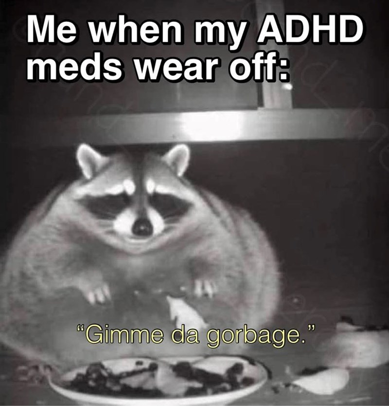 Me when my ADHD meds wear off: "Gimme da gorbage.”