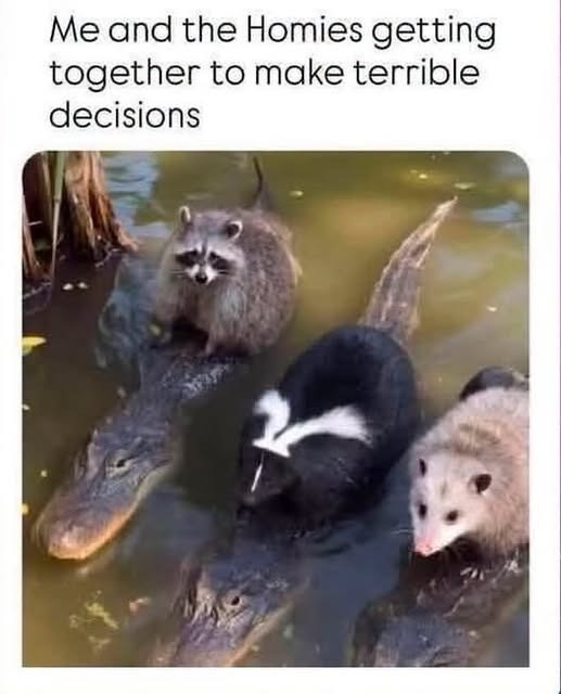 Me and the Homies getting together to make terrible decisions
