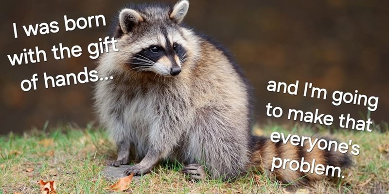 I was born with the gift of hands... and I'm going to make that everyone's problem.