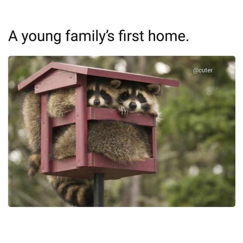A young family's first home. @cuter