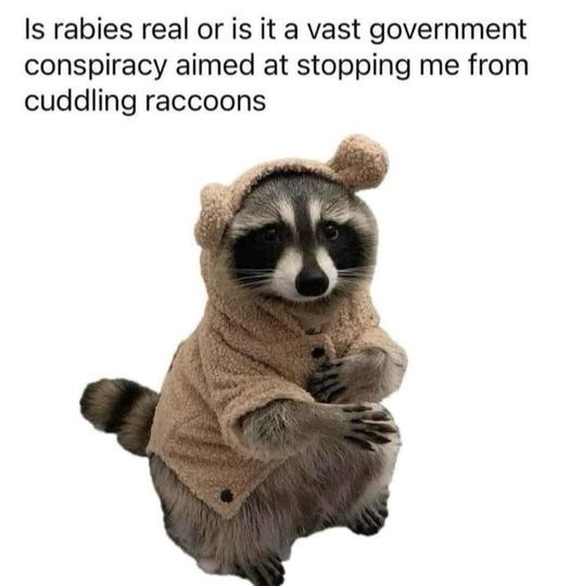 Is rabies real or is it a vast government conspiracy aimed at stopping me from cuddling raccoons
