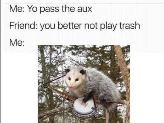 Me: Yo pass the aux Friend: you better not play trash Me: