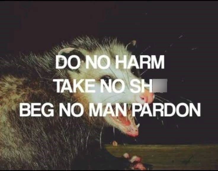 DO NO HARM TAKE NO SH BEG NO MAN PARDON