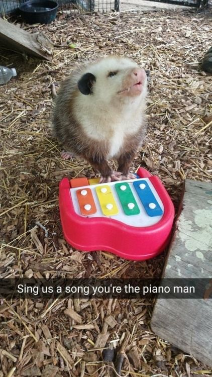 8888 Sing us a song you're the piano man