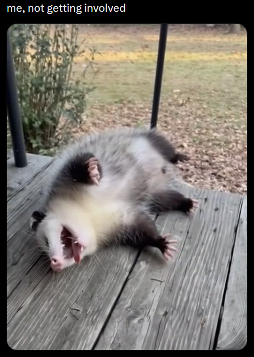 me, not getting involved