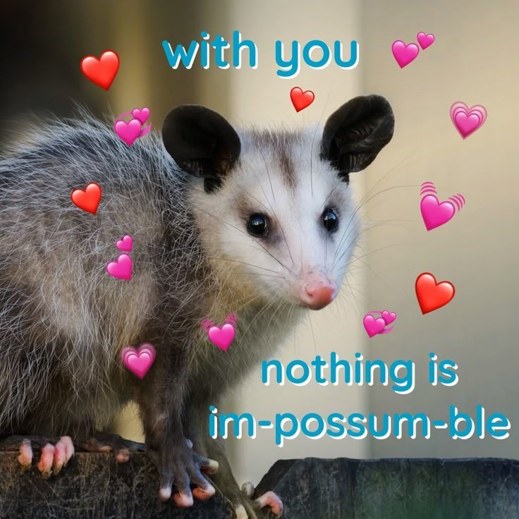 with you nothing is im-possum-ble