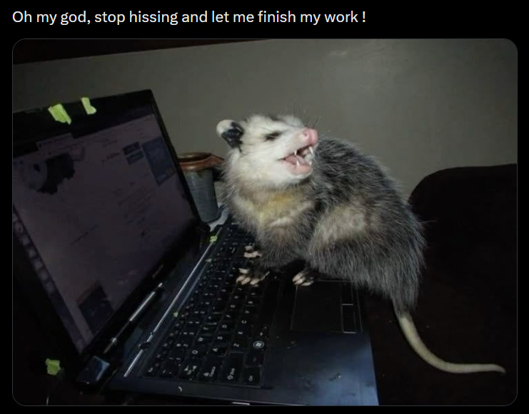 Oh my god, stop hissing and let me finish my work!