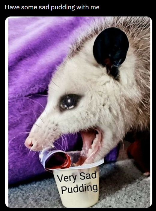 Have some sad pudding with me Very Sad Pudding