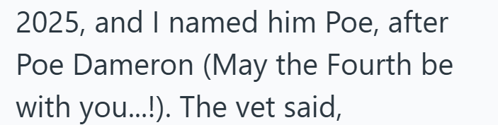 2025, and I named him Poe, after Poe Dameron (May the Fourth be with you...!). The vet said,