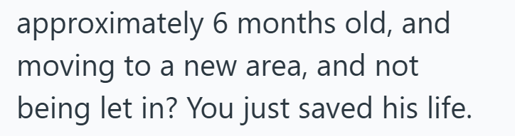 approximately 6 months old, and moving to a new area, and not being let in? You just saved his life.