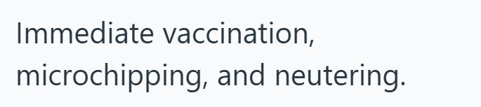 Immediate vaccination, microchipping, and neutering.