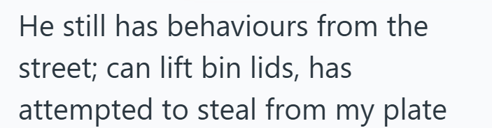 He still has behaviours from the street; can lift bin lids, has attempted to steal from my plate