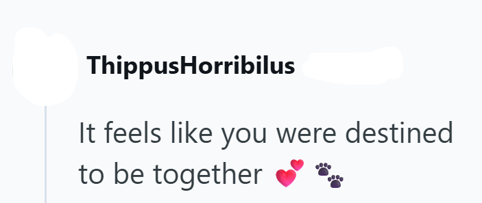 ThippusHorribilus It feels like you were destined to be together