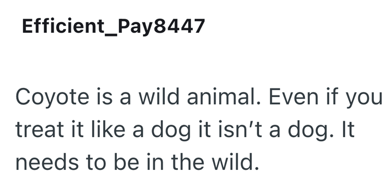 Efficient_Pay8447 Coyote is a wild animal. Even if you treat it like a dog it isn't a dog. It needs to be in the wild.